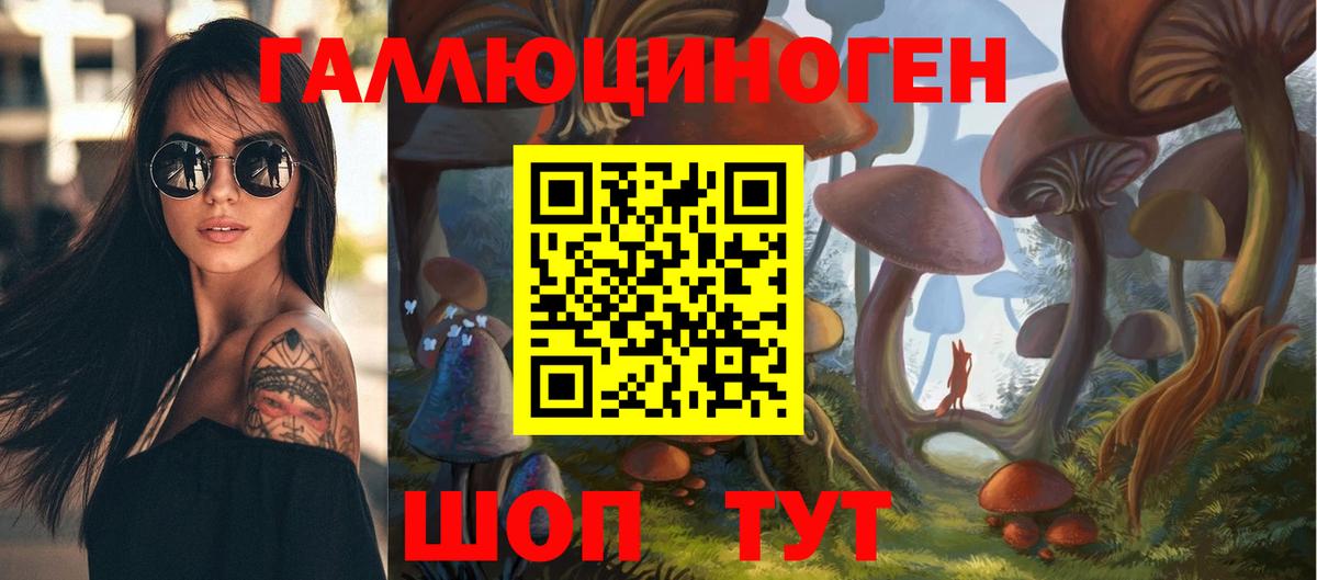 Петропавловск-Камчатский  Псилоцибиновые грибы Psilocybine cubensis  Вход с VPN  Псилоцибиновые грибы Cubensis 